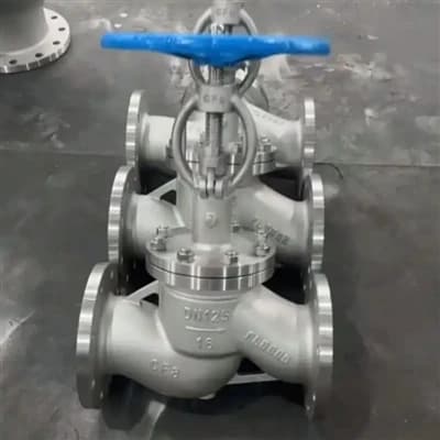 VANĂ CU PANĂ DIN OȚEL INOXIDABIL, STANDARD AMERICAN, EXPORTATĂ ÎN CANADA